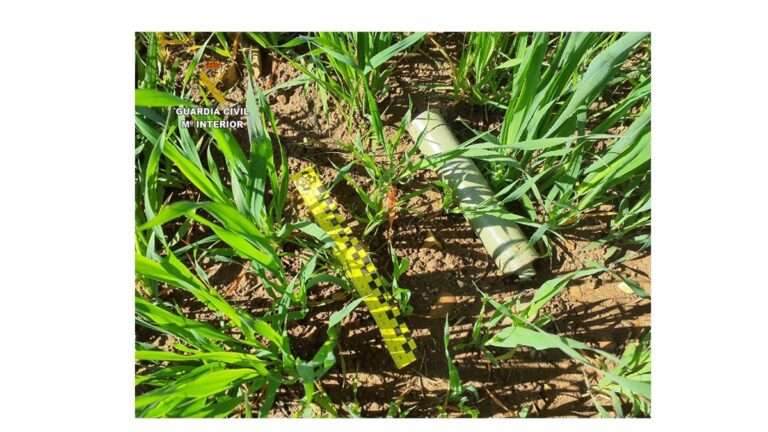 Investigadas tres personas por practicar la caza ilegal en Los Pozuelos de Calatrava (Ciudad Real)