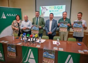 La Diputación de Ciudad Real Apoya la Séptima Edición de FERDUQUE en Malagón del 6 al 8 de Junio
