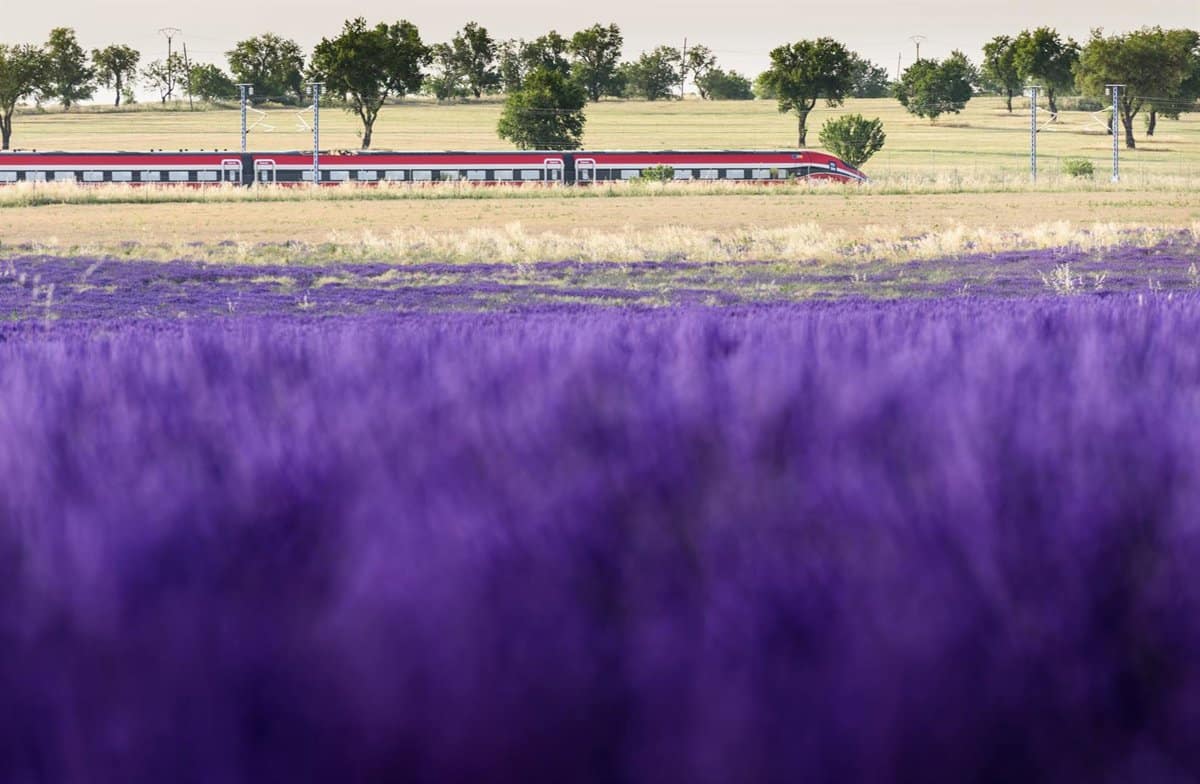 Renfe pondrá en marcha el 3 de julio el 'Tren de la Lavanda' entre Madrid y Guadalajara