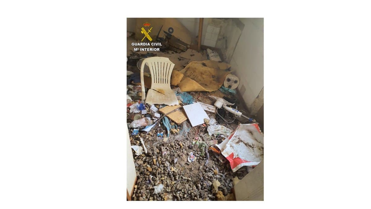 Rescatado un perro abandonado en una casa deshabitada en Alcolea de Calatrava