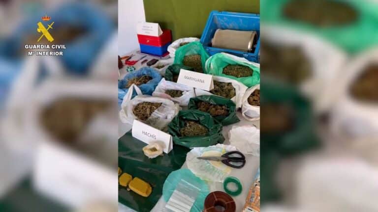 Seis detenidos de un grupo criminal dedicado al cultivo y tráfico de droga en Villarrubia de los Ojos