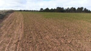 UGT reclama a la Junta que vele por los trabajadores del campo ante el bloqueo del convenio por parte de Asaja