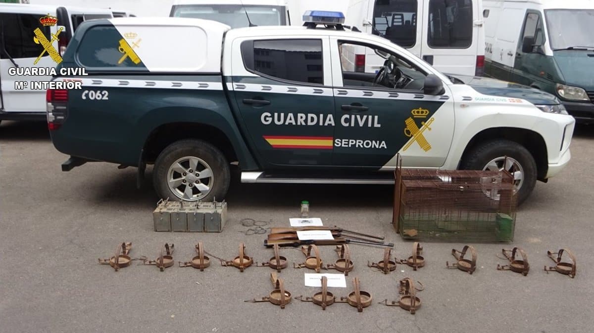 Un investigado y numerosas denuncias tras un operativo del Seprona contra el uso de venenos en Ciudad Real