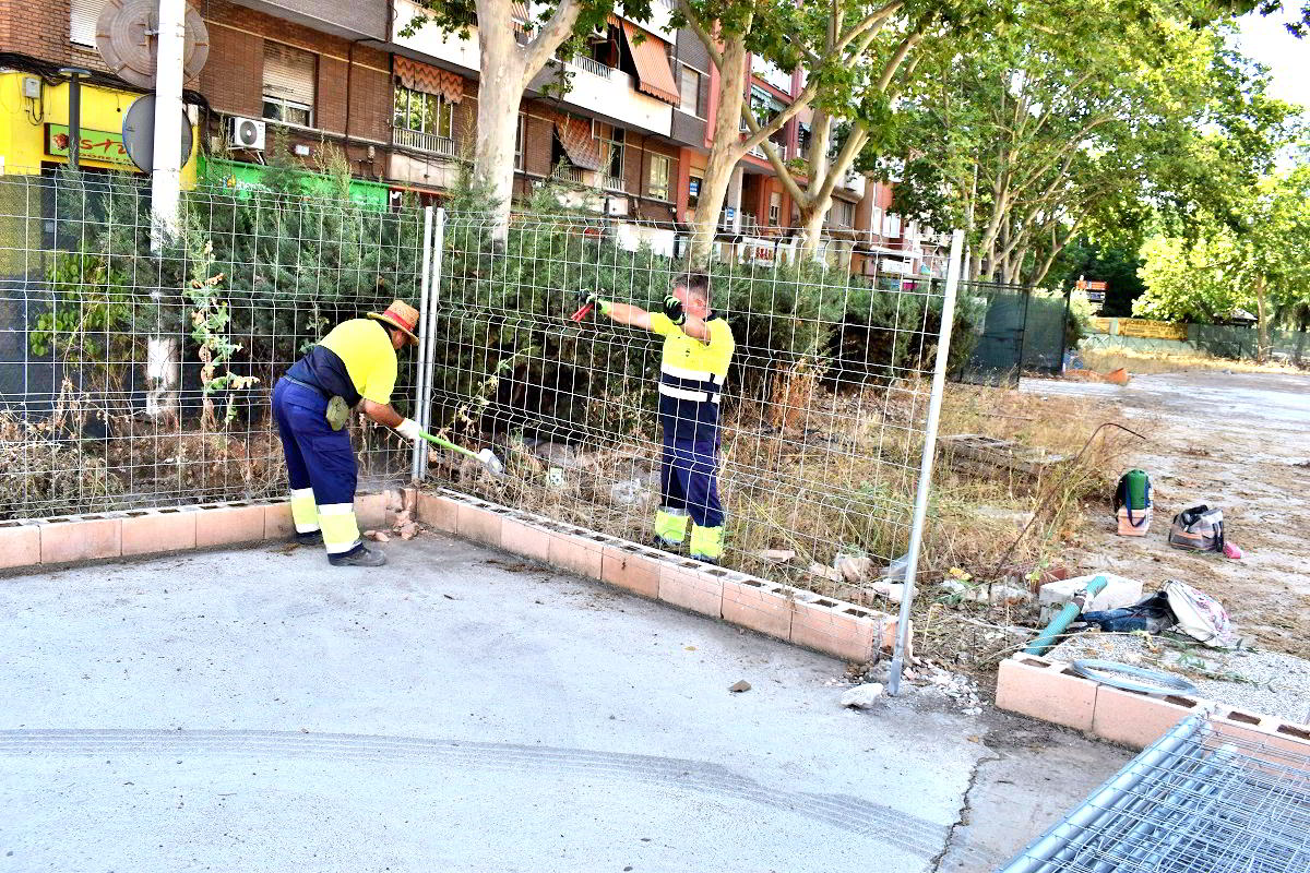 Lanzamiento de la Fase Preliminar para la Renovación del Paseo del Bosque: Un Año de Mejoras por Delante 2 Lanzamiento de la Fase Preliminar para la Renovación del Paseo del Bosque: Un Año de Mejoras por Delante 2