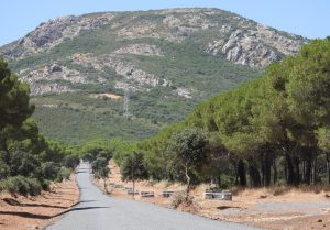 Conclusión Exitosa de la Primera Etapa de Mejoras en el Camino de la Dehesa Boyal con Más de un Kilómetro Renovado 1