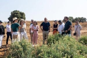 C-LM valora el potencial del cultivo de guayle por su resistencia al cambio climático y su adaptación al suelo