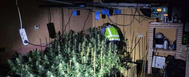 Descubren un cultivo de marihuana en una vivienda de Guadalajara tras producirse un incendio