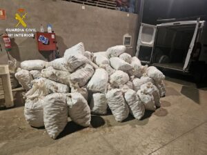 Un detenido y un investigado por cuatro delitos de hurto de ajos y otro de receptación en Las Pedroñeras