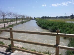 Estudios confirman que no hay larvas de mosquitos en puntos principales del Canal María Cristina de Albacete