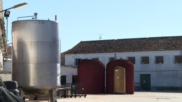 Ampliar presencia en nuevos mercados y estrenar tienda online, retos futuros de la Cooperativa Nuestra Señora del Egido