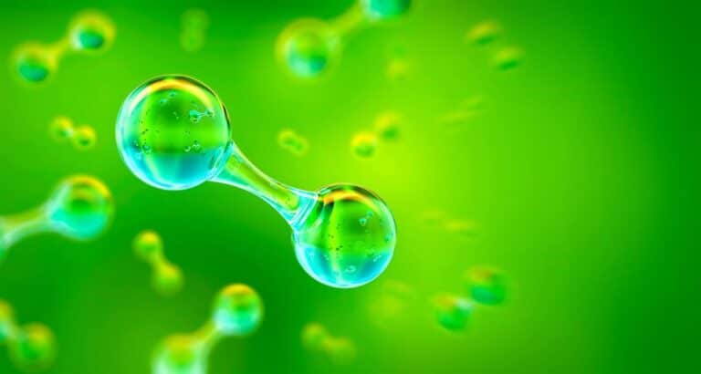 Ecologista denuncia "obstaculización" en el Estudio de Impacto Ambiental de una planta de hidrógeno en Albacete