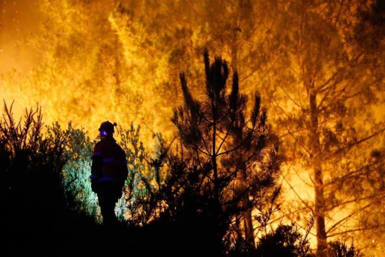 El Gobierno aprueba un decreto para homegeneizar planes de prevención, vigilancia y extinción de incendios forestales