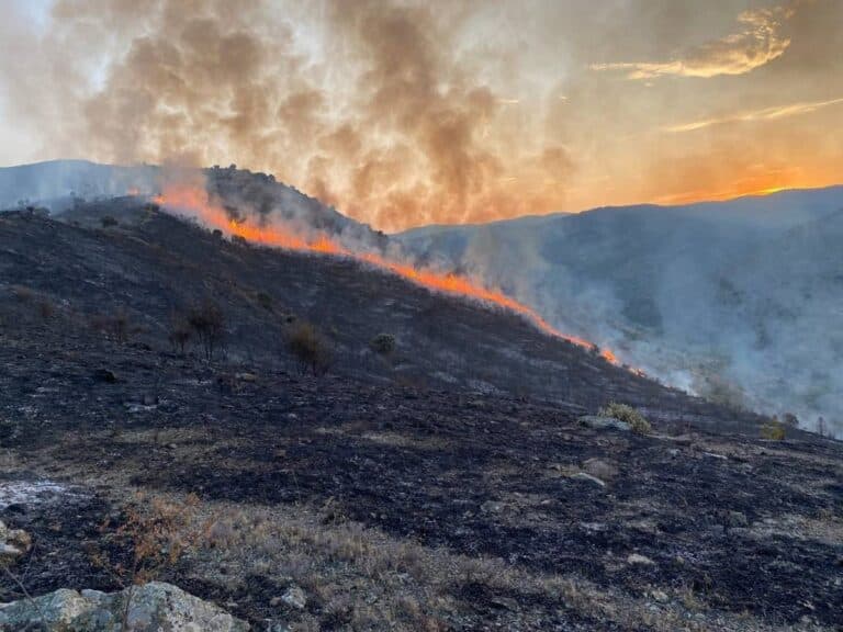 El Gobierno declara 'zona catastrófica' por incendios y danas territorios en todas las CCAA, excepto País Vasco