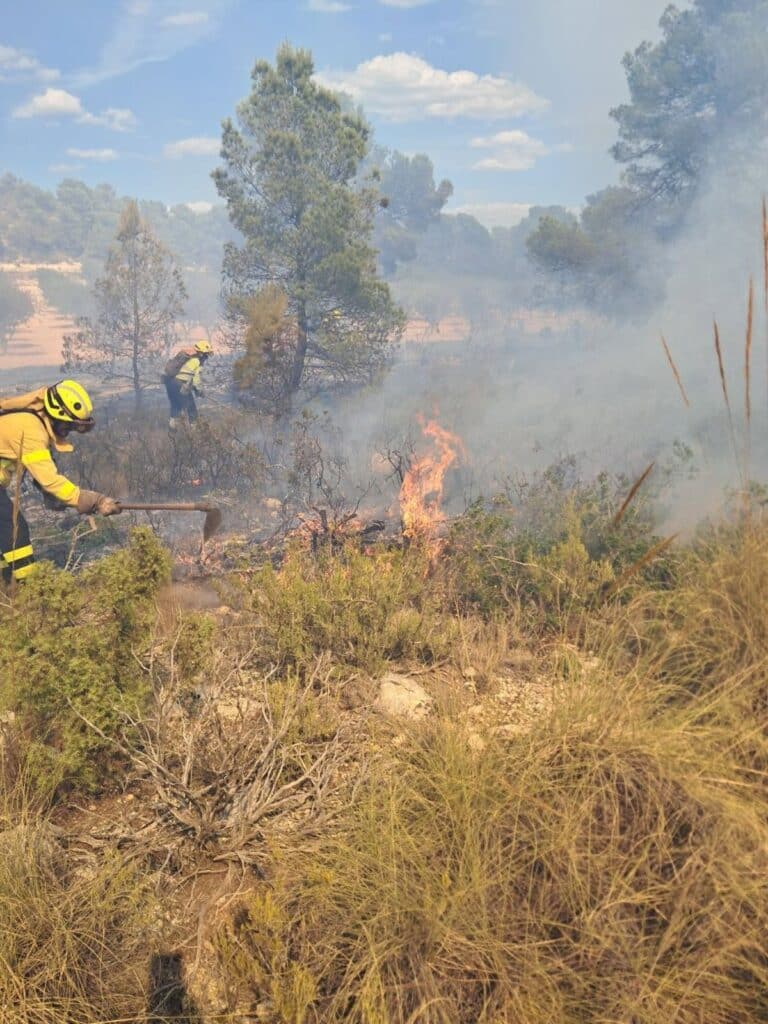 Extinguido el incendio forestal declarado en Almansa y controlado el de Loranca de Tajuña