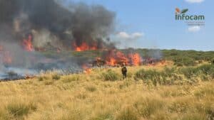 VÍDEO: Gómez responde al PP que "en ningún incendio de C-LM han faltado medios" y anuncia su comparecencia en Cortes