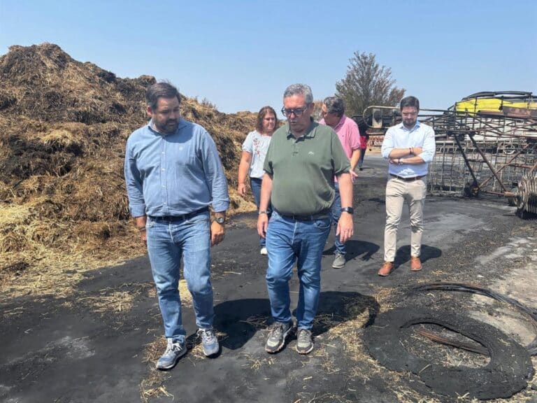 PP C-LM reclama ayudas para la recuperación mediambiental y agroganadera en las zonas afectadas por incendios