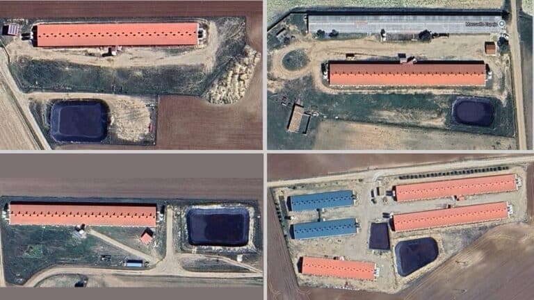 Pueblos Vivos alerta de que la nueva macrogranja de Carboneras de Guadazaón se tramita eludiendo la Evaluación Ambiental