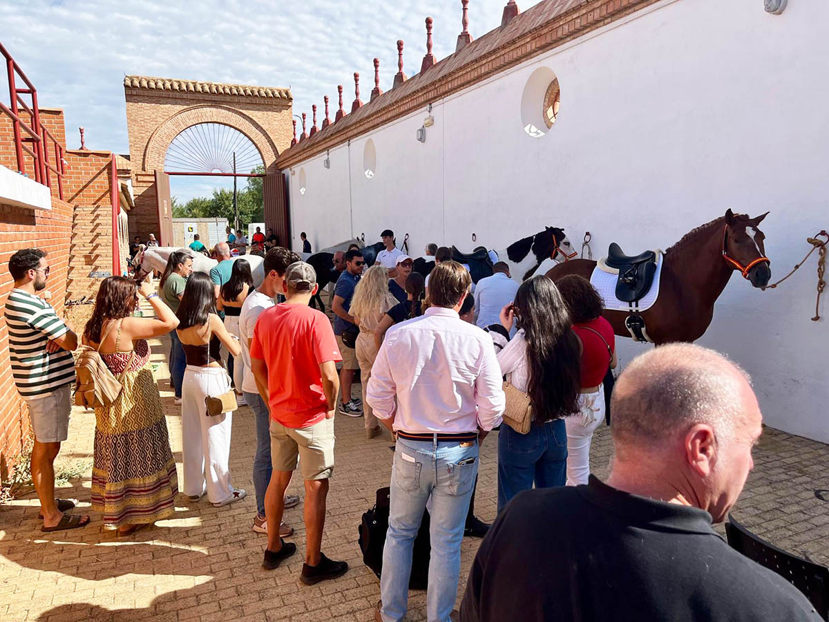 El Espectáculo de la Elegancia Ecuestre: Treinta Competidores Brillan en el Segundo Concurso de Doma Clásica 3