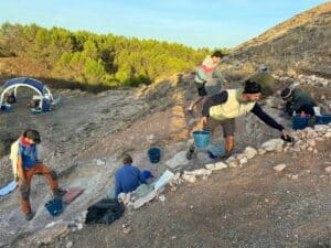 Afloran en Carrascosa del Campo 200 fósiles de mamíferos que arrojan luz al cambio climático de hace 30 millones de años