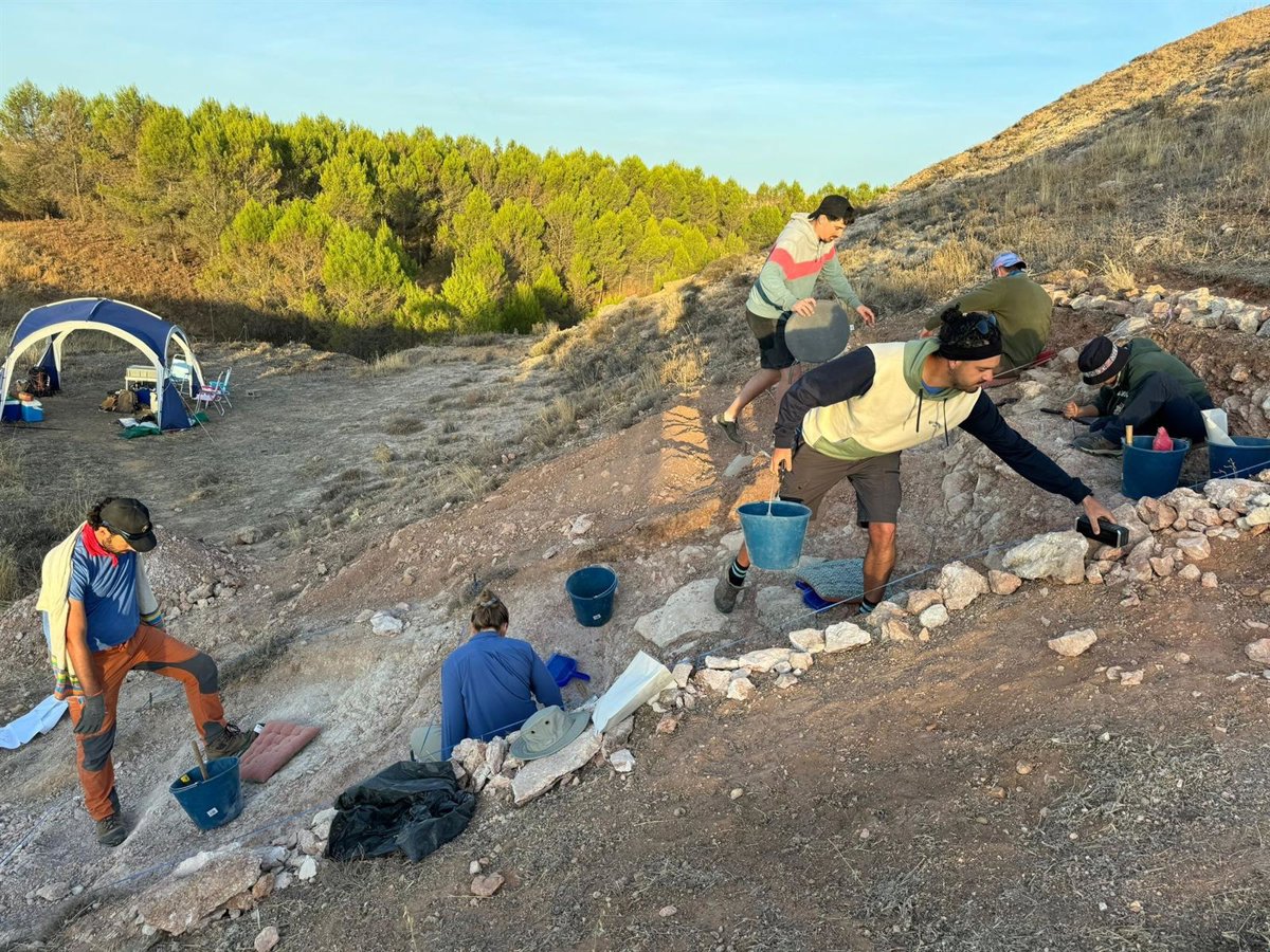 Afloran en Carrascosa del Campo 200 fósiles de mamíferos que arrojan luz al cambio climático de hace 30 millones de años