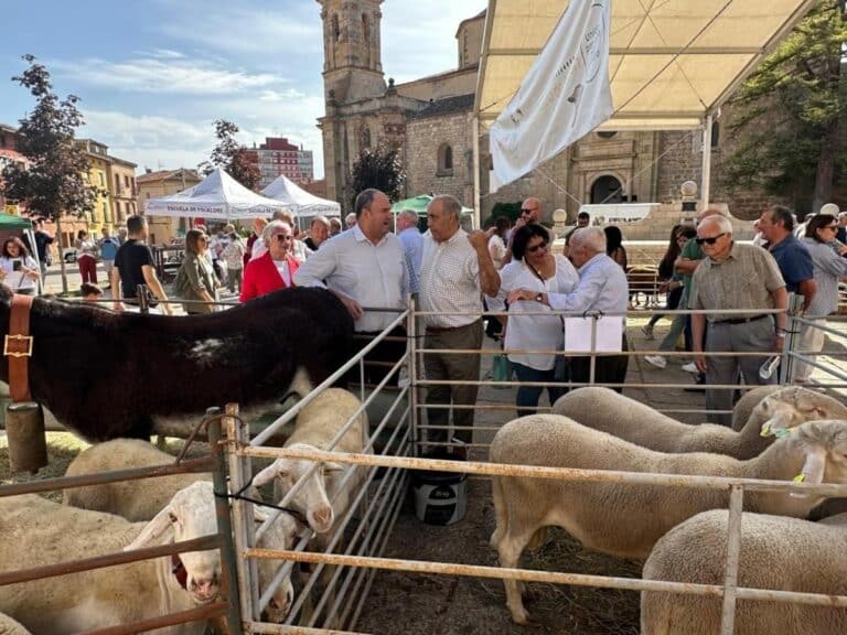 C-LM pondrá a disposición del sector ganadero 18 millones en ayudas al bienestar animal para los próximos tres años
