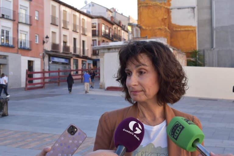 El PSOE acusa a Guarinos de "inflar" el dispositivo de limpieza en Ferias y dejar sin atender a los barrios