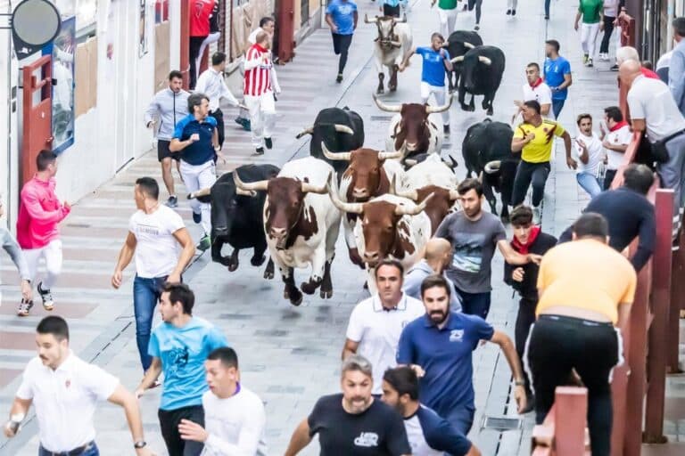 Guadalajara cierra sus encierros con un nuevo recorrido aplaudido por corredores y sin apenas incidencias