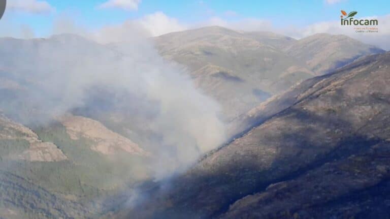Hasta 34 medios, 18 de ellos aéreos, siguen trabajando en el incendio de Peñalba de la Sierra (Guadalajara)