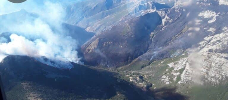 Hasta 46 medios, 24 de ellos terrestres, trabajan en la extinción del fuego de Peñalba de la Sierra