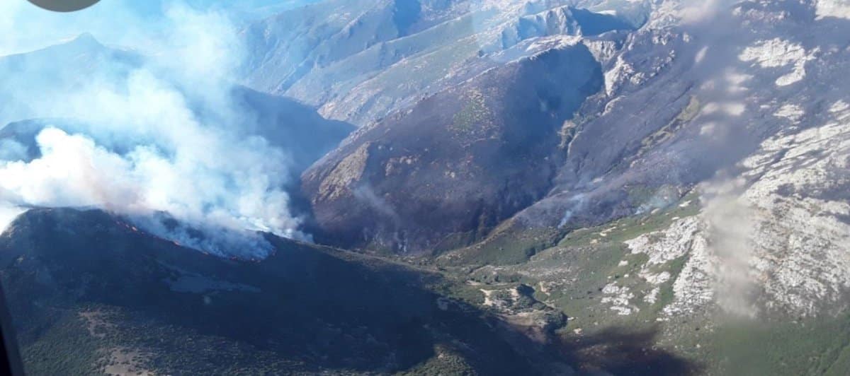Hasta 46 medios, 24 de ellos terrestres, trabajan en la extinción del fuego de Peñalba de la Sierra