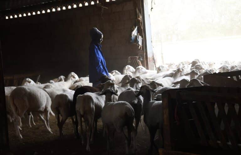 La Escuela de Pastores ya ha prestado formación a 437 personas en Castilla-La Mancha