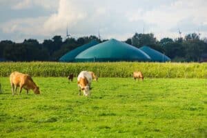 Moeve y la ciudadrealeña ID Energy desarrollarán proyectos de biometano equivalentes al consumo anual de 140.000 hogares