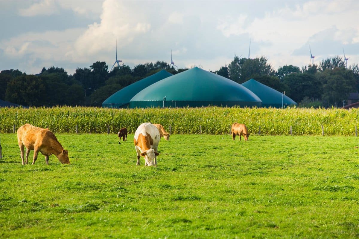 Moeve y la ciudadrealeña ID Energy desarrollarán proyectos de biometano equivalentes al consumo anual de 140.000 hogares