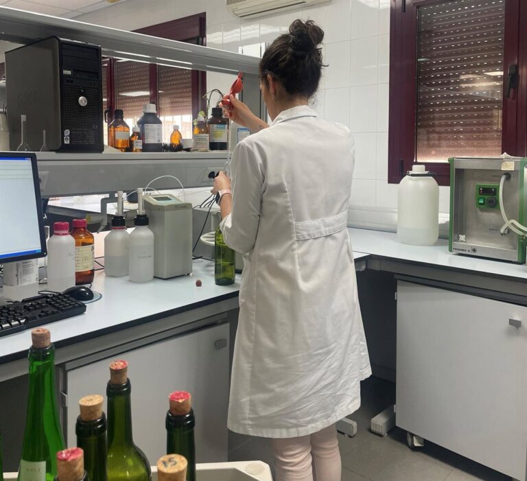 Page avanza que el nuevo Plan de Investigación Científica y Técnica verá la luz en diciembre y movilizará 1.000 millones