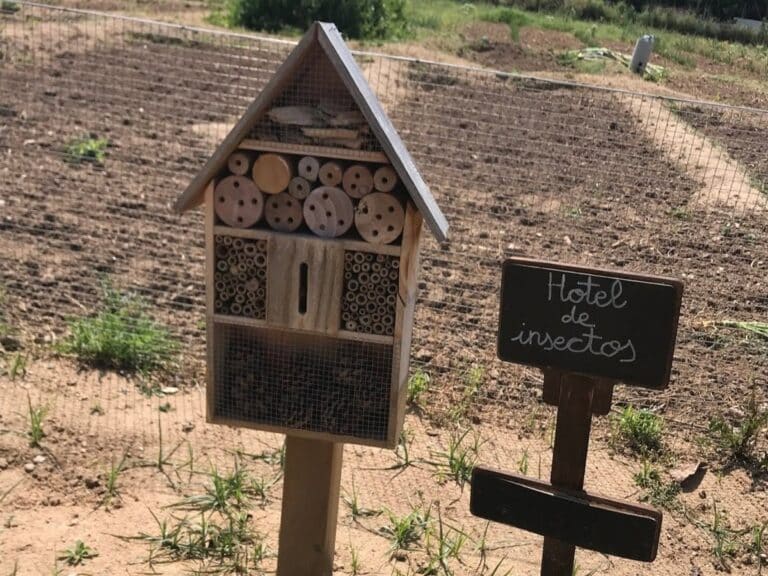 Un nuevo programa de educación ambiental de Diputación Toledo promoverá el contacto de los escolares con la naturaleza