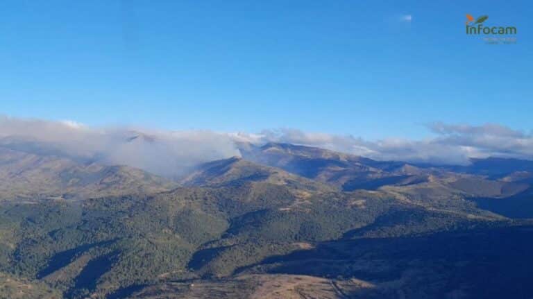 Un rayo, causa probable del incendio forestal de Peñalba de la Sierra