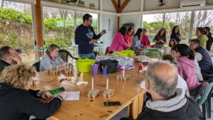 Un taller de bonsái da inicio a los talleres de sensibilización ambiental de Diputación de Toledo el 18 de octubre