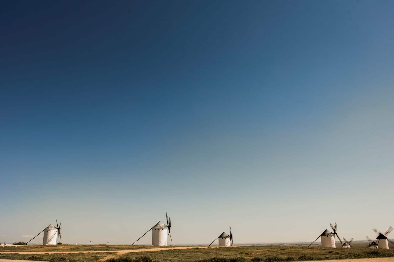 11 razones para escaparte a la Ruta del Vino de La Mancha en plena vendimia 3