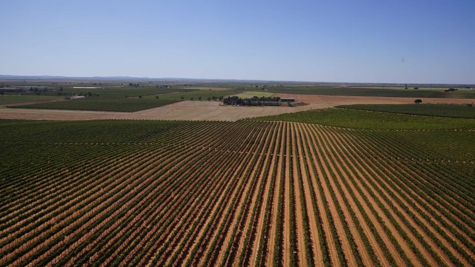 11 razones para escaparte a la Ruta del Vino de La Mancha en plena vendimia 11