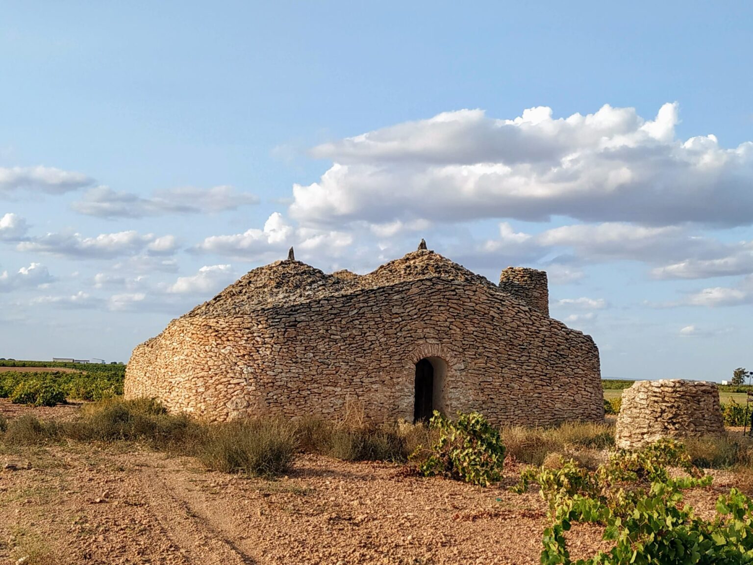 11 razones para escaparte a la Ruta del Vino de La Mancha en plena vendimia 10