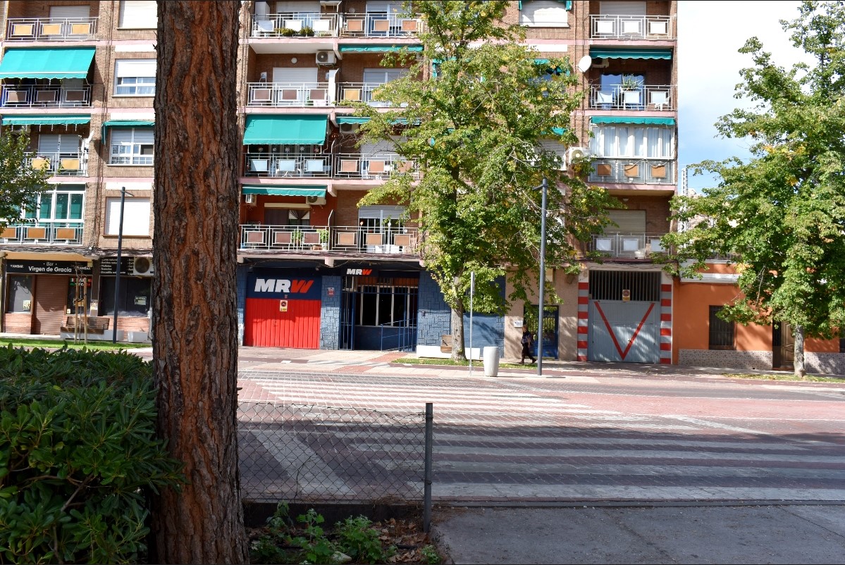 Inauguración del Nuevo Camino Peatonal en el Área Norte del Paseo del Bosque Este Martes 14 11