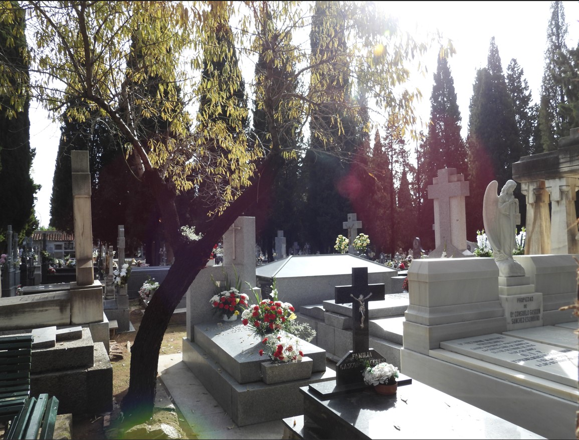 Homenaje Restringido: Prohibición de Rosas Blancas en la Puerta del Cementerio Según el Ayuntamiento 4 Homenaje Restringido: Prohibición de Rosas Blancas en la Puerta del Cementerio Según el Ayuntamiento 4