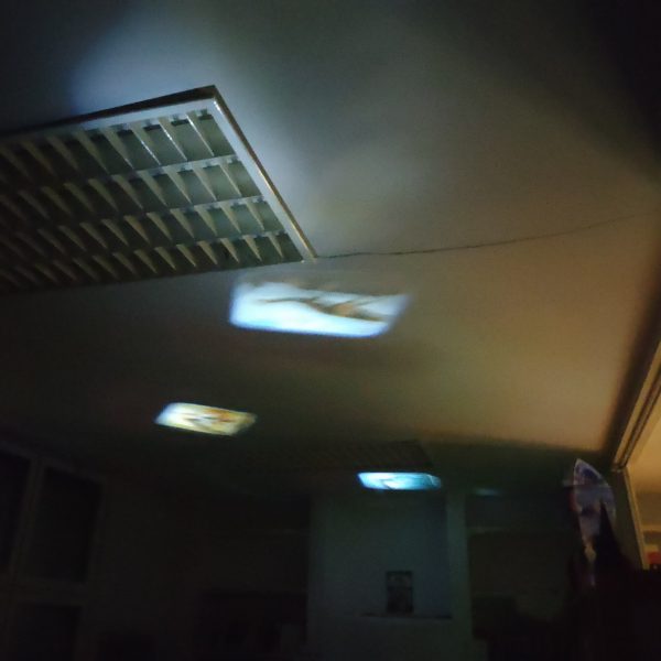 ¡Historias de Dinosaurios! 2 Imagen del evento 2