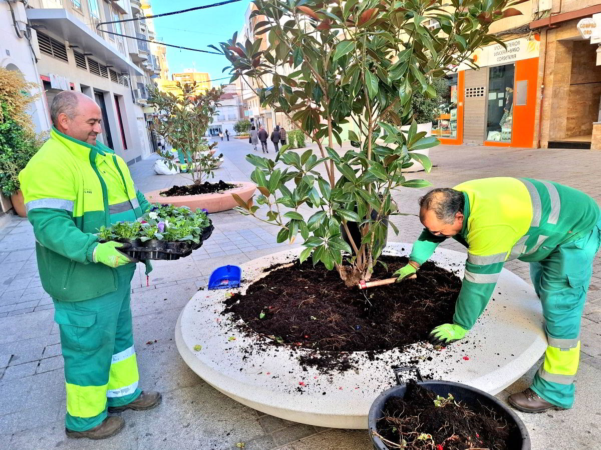 El Paseo de San Gregorio se Viste de Primavera en Otoño con 12,000 Plantas y Flores 1 El Paseo de San Gregorio se Viste de Primavera en Otoño con 12,000 Plantas y Flores 1
