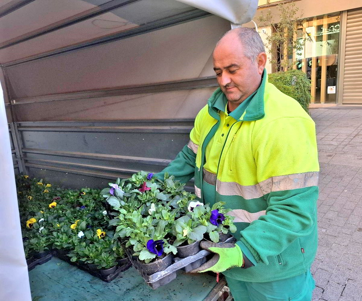 El Paseo de San Gregorio se Viste de Primavera en Otoño con 12,000 Plantas y Flores 2 El Paseo de San Gregorio se Viste de Primavera en Otoño con 12,000 Plantas y Flores 2