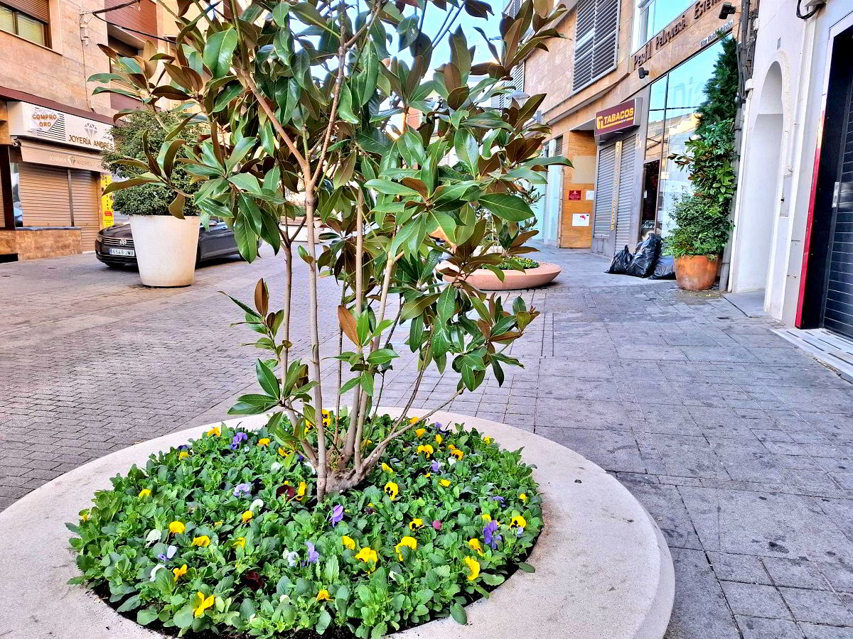 El Paseo de San Gregorio se Viste de Primavera en Otoño con 12,000 Plantas y Flores 3 El Paseo de San Gregorio se Viste de Primavera en Otoño con 12,000 Plantas y Flores 3