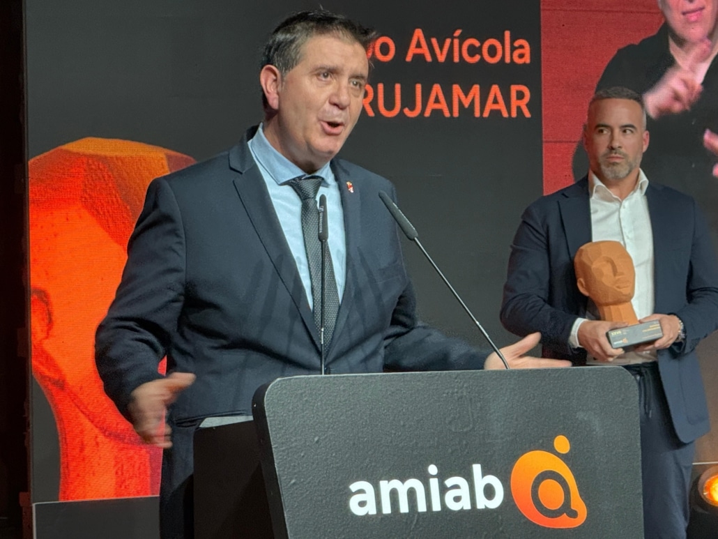 Diario de Castilla-La Mancha 1