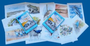 Carlos Villanueva Desvela los Secretos del Parque Nacional de las Tablas de Daimiel en su Nueva Obra "Desde La Quebrada" Presentada por la BAM