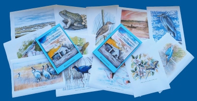 Carlos Villanueva Desvela los Secretos del Parque Nacional de las Tablas de Daimiel en su Nueva Obra "Desde La Quebrada" Presentada por la BAM