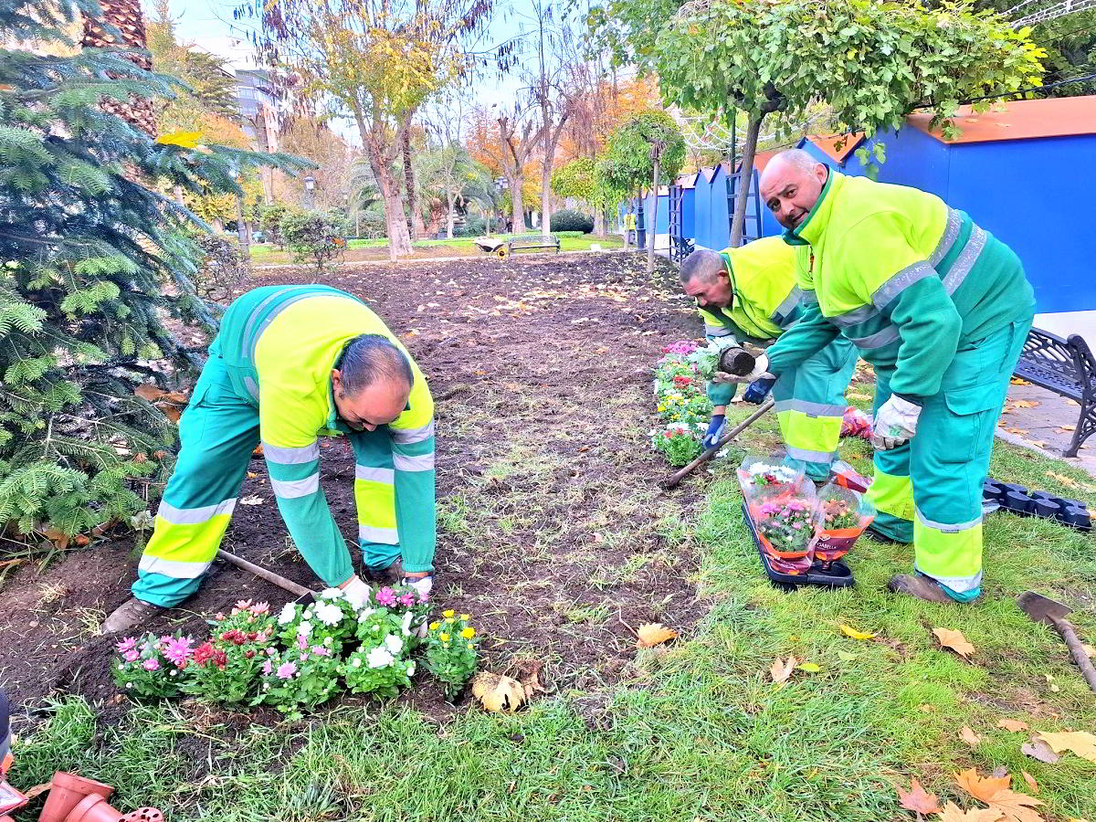 El Paseo de San Gregorio se engalana con cientos de plantas para las festividades navideñas gracias a la iniciativa del Ayuntamiento 1